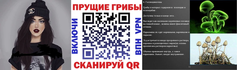Галлюциногенные грибы Magic Shrooms  Тихорецк 